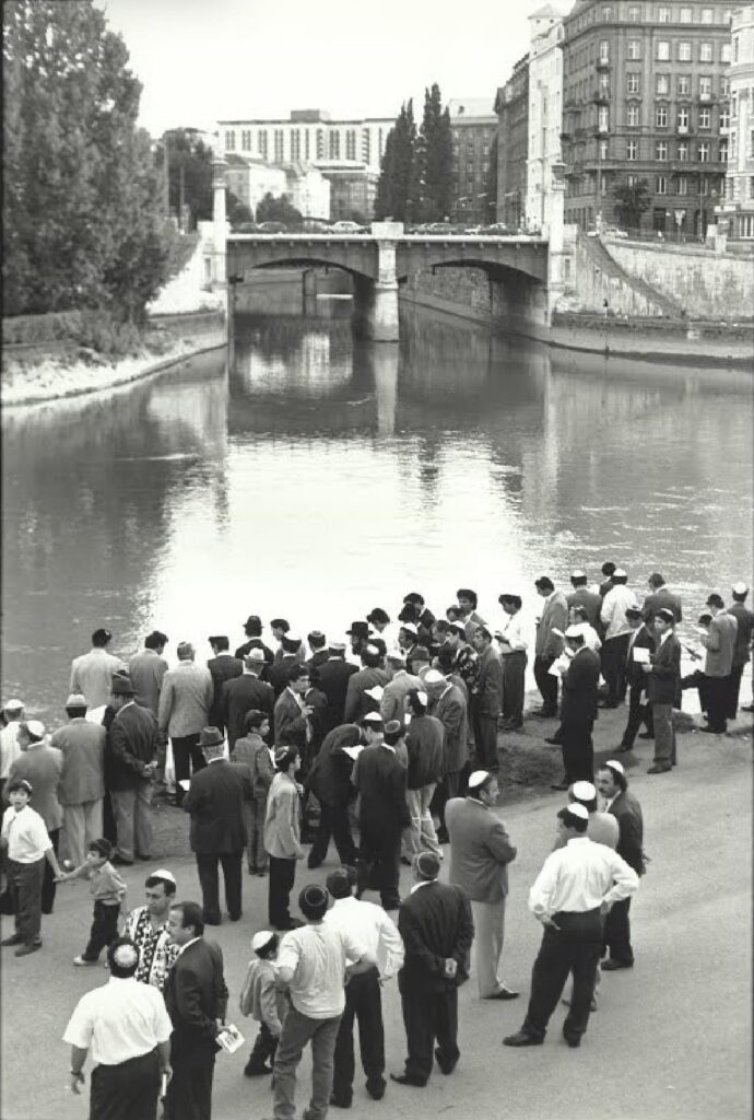 Трапеза и именины на "Острове мацы"