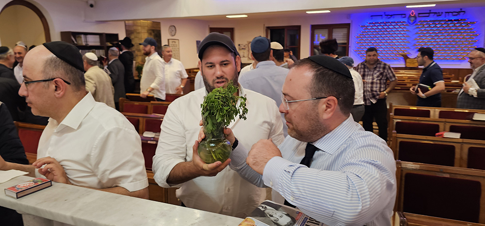 "We Are Bukharian Jews!"