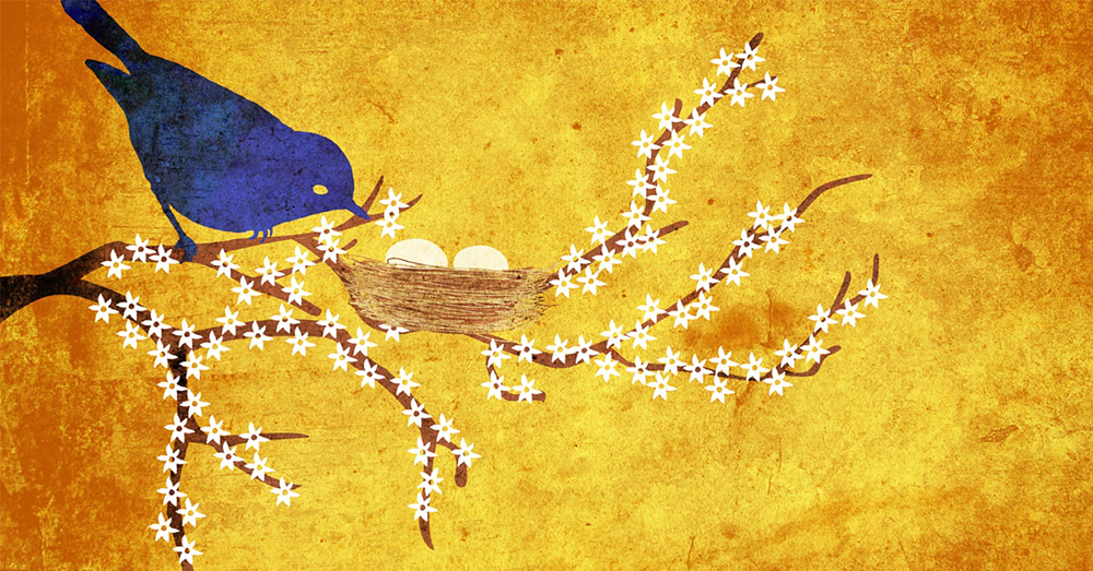 5 Timeless Lessonsfrom Parashat Ki Teitzei