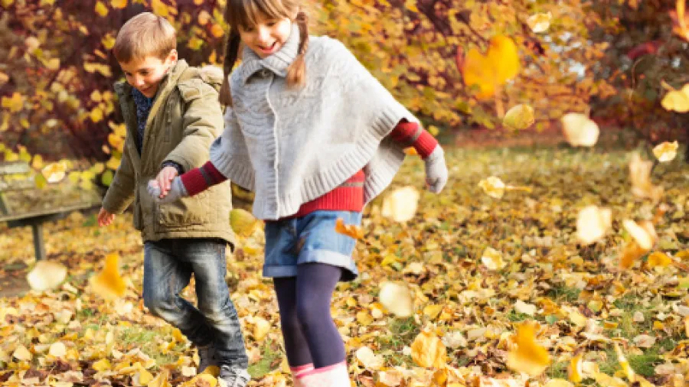 Клёновый лист