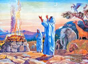 7 Messages from Parashat Bereshit